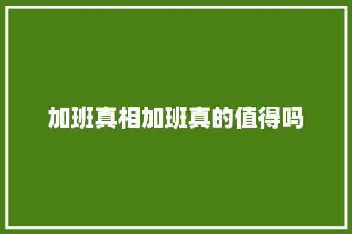 加班真相加班真的值得吗 搜狗SEO
