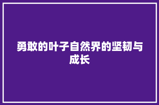 勇敢的叶子自然界的坚韧与成长 百度SEO