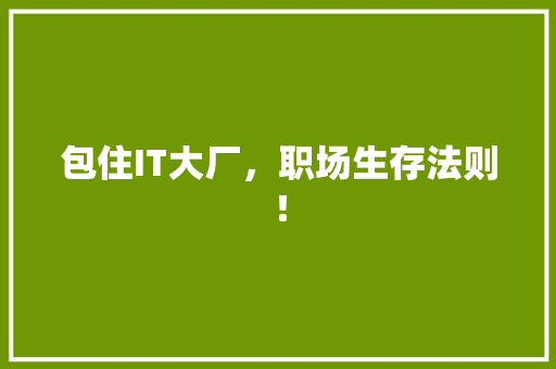 包住IT大厂，职场生存法则！ 百度SEO