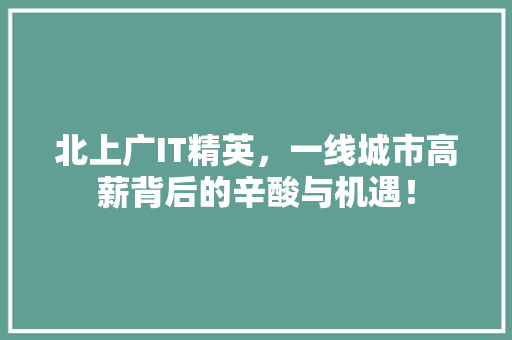北上广IT精英，一线城市高薪背后的辛酸与机遇！ 百度SEO