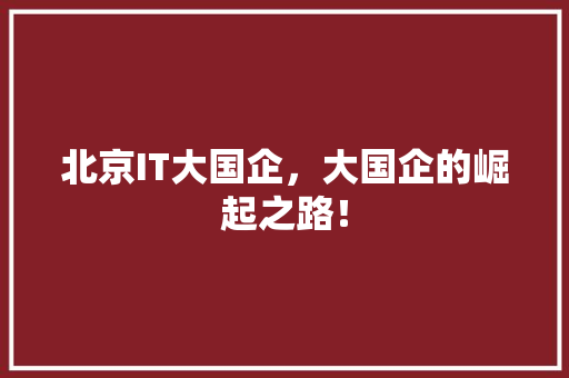 北京IT大国企，大国企的崛起之路！ 必应SEO