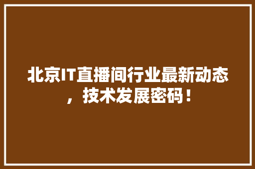 北京IT直播间行业最新动态，技术发展密码！ GoogleSEO