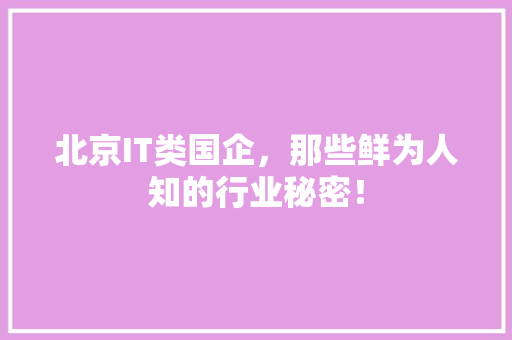 北京IT类国企，那些鲜为人知的行业秘密！ 神马SEO