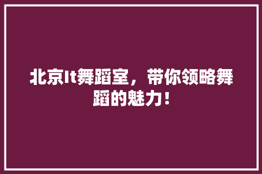北京It舞蹈室，带你领略舞蹈的魅力！ 搜狗SEO