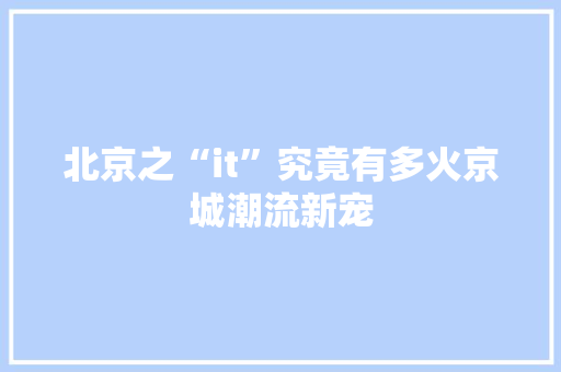 北京之“it”究竟有多火京城潮流新宠 神马SEO