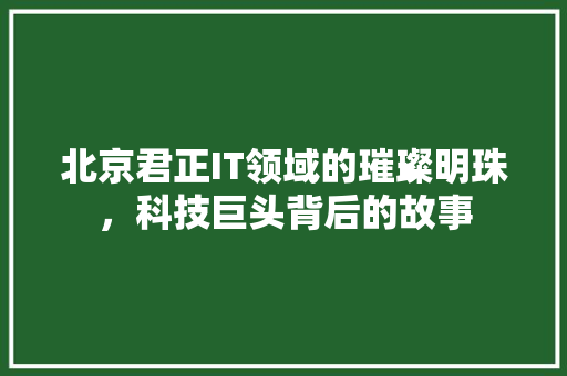 北京君正IT领域的璀璨明珠，科技巨头背后的故事 搜狗SEO