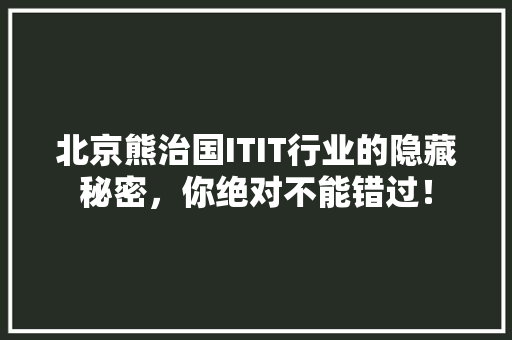 北京熊治国ITIT行业的隐藏秘密，你绝对不能错过！ GoogleSEO