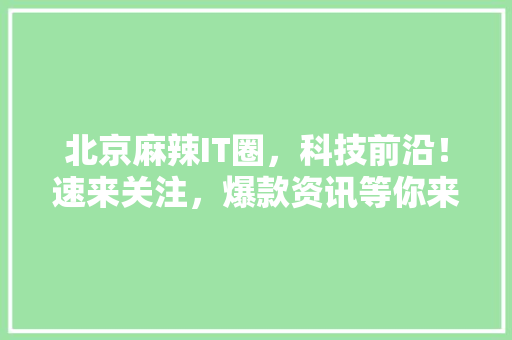 北京麻辣IT圈，科技前沿！速来关注，爆款资讯等你来抢！ 必应SEO