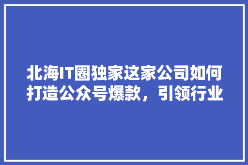北海IT圈独家这家公司如何打造公众号爆款，引领行业潮流 神马SEO