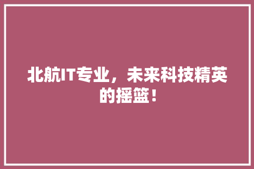 北航IT专业，未来科技精英的摇篮！ 神马SEO