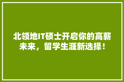 北领地IT硕士开启你的高薪未来，留学生涯新选择！ 必应SEO