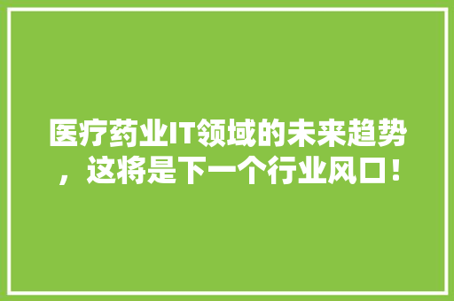 医疗药业IT领域的未来趋势，这将是下一个行业风口！ GoogleSEO