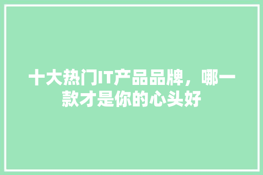 十大热门IT产品品牌，哪一款才是你的心头好 GoogleSEO