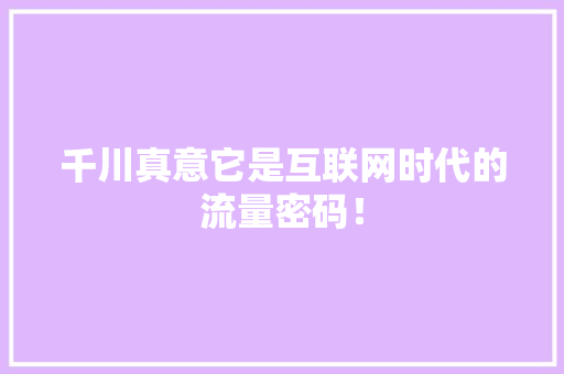 千川真意它是互联网时代的流量密码！ 必应SEO