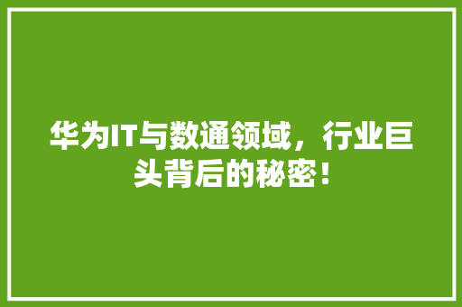 华为IT与数通领域，行业巨头背后的秘密！ 百度SEO