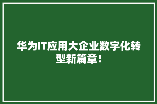 华为IT应用大企业数字化转型新篇章！ 必应SEO