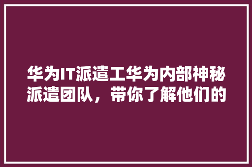 华为IT派遣工华为内部神秘派遣团队，带你了解他们的真实工作状态！ 必应SEO