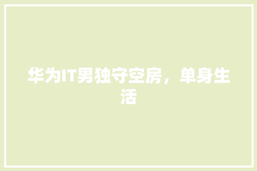 华为IT男独守空房，单身生活 百度SEO