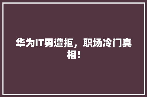 华为IT男遭拒，职场冷门真相！ 神马SEO