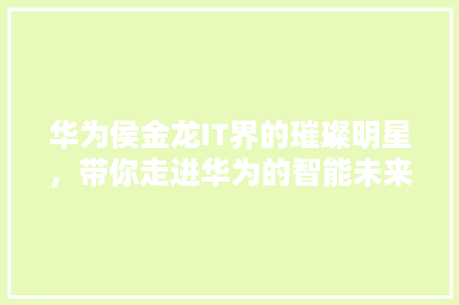 华为侯金龙IT界的璀璨明星，带你走进华为的智能未来！ GoogleSEO