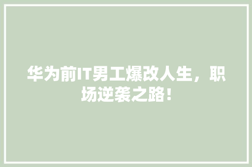 华为前IT男工爆改人生，职场逆袭之路！ 必应SEO