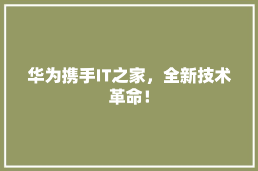 华为携手IT之家，全新技术革命！ GoogleSEO