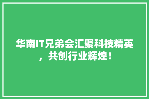 华南IT兄弟会汇聚科技精英，共创行业辉煌！ 神马SEO