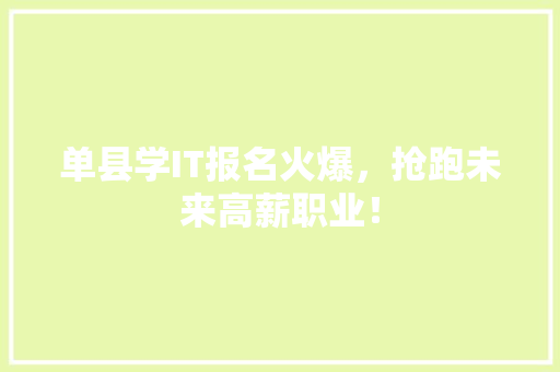 单县学IT报名火爆，抢跑未来高薪职业！ 必应SEO