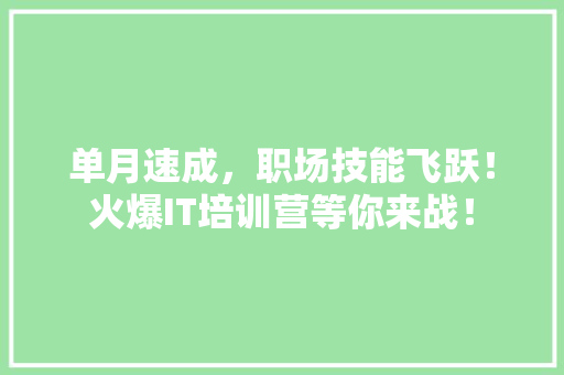 单月速成，职场技能飞跃！火爆IT培训营等你来战！ 必应SEO