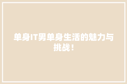 单身IT男单身生活的魅力与挑战！