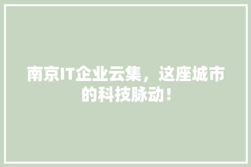 南京IT企业云集，这座城市的科技脉动！ 必应SEO