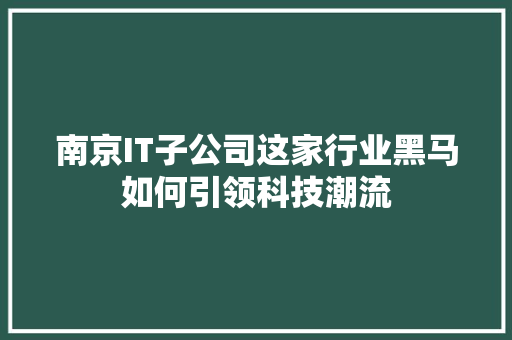 南京IT子公司这家行业黑马如何引领科技潮流
