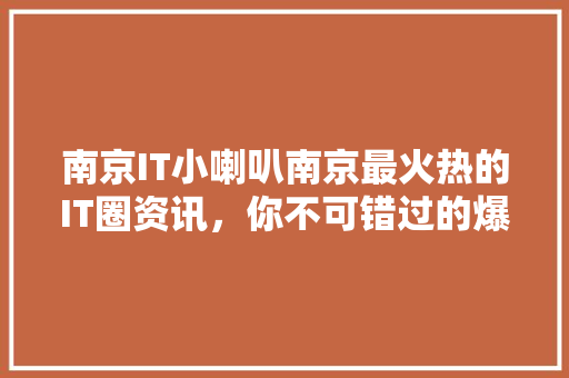 南京IT小喇叭南京最火热的IT圈资讯，你不可错过的爆款公众号！ 必应SEO