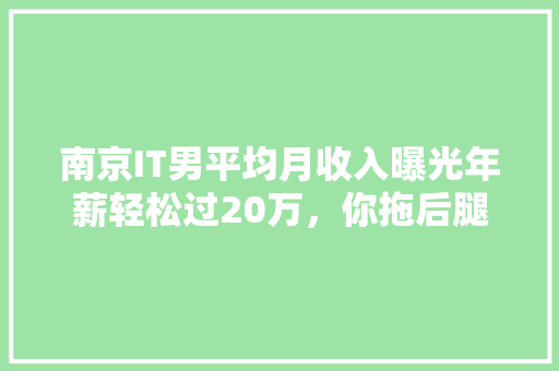南京IT男平均月收入曝光年薪轻松过20万，你拖后腿了吗 神马SEO