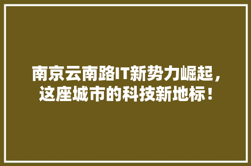 南京云南路IT新势力崛起，这座城市的科技新地标！ 必应SEO