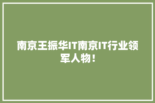 南京王振华IT南京IT行业领军人物！ 搜狗SEO