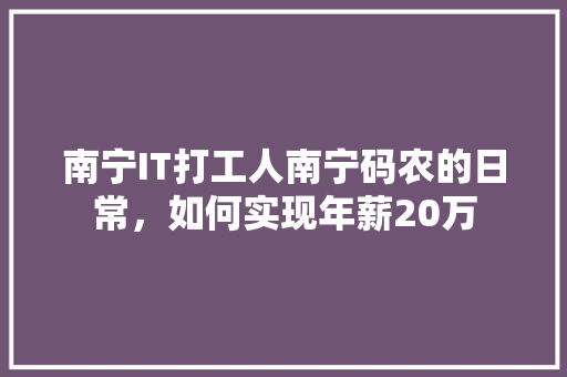 南宁IT打工人南宁码农的日常，如何实现年薪20万 百度SEO