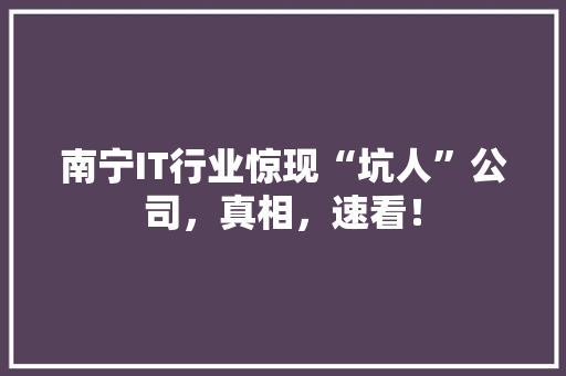 南宁IT行业惊现“坑人”公司，真相，速看！ 百度SEO