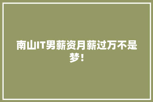 南山IT男薪资月薪过万不是梦！ 神马SEO
