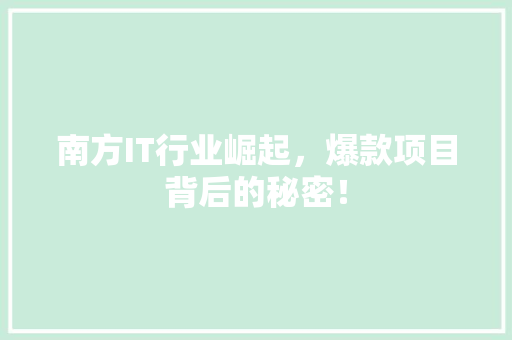 南方IT行业崛起，爆款项目背后的秘密！ 神马SEO