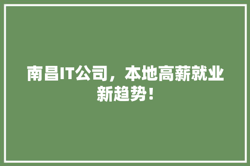 南昌IT公司，本地高薪就业新趋势！ 必应SEO