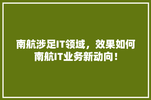 南航涉足IT领域，效果如何南航IT业务新动向！ 百度SEO