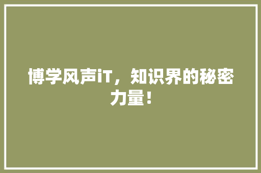 博学风声iT，知识界的秘密力量！ 神马SEO