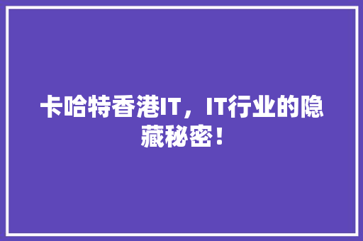 卡哈特香港IT，IT行业的隐藏秘密！ 神马SEO