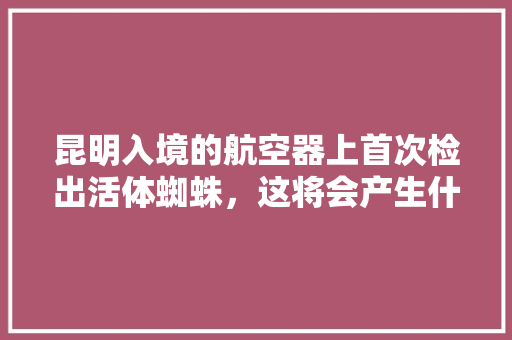 昆明入境的航空器上首次检出活体蜘蛛，这将会产生什么样的影响「为什么要屏蔽蜘蛛网」 昆明入境的航空器上首次检出活体蜘蛛，这将会产生什么样的影响「为什么要屏蔽蜘蛛网」 GoogleSEO