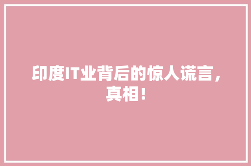印度IT业背后的惊人谎言，真相！ 百度SEO