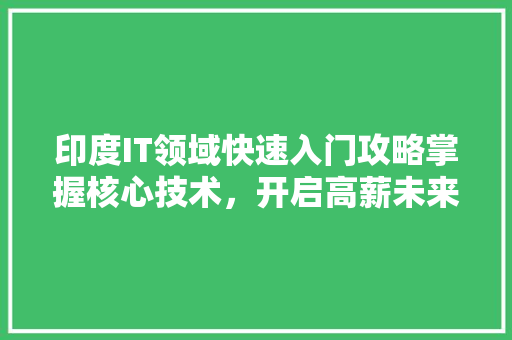 印度IT领域快速入门攻略掌握核心技术，开启高薪未来！ 百度SEO