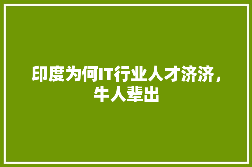 印度为何IT行业人才济济，牛人辈出 百度SEO