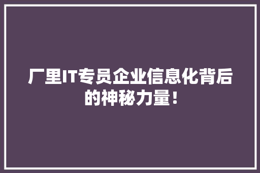 厂里IT专员企业信息化背后的神秘力量！ GoogleSEO
