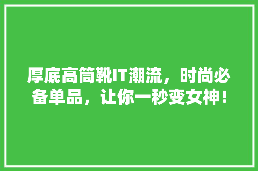 厚底高筒靴IT潮流，时尚必备单品，让你一秒变女神！ 搜狗SEO